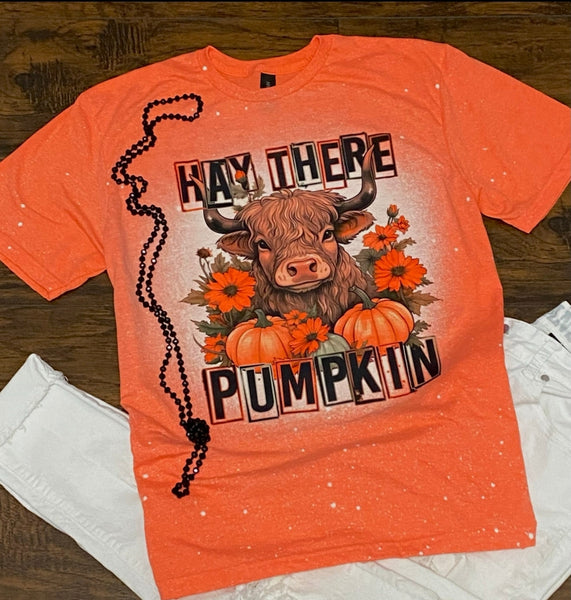 Hay There Pumpkin Cow shirt / sweatshirt