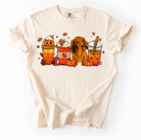 Pumpkin Spice Dachshund shirt / sweatshirt
