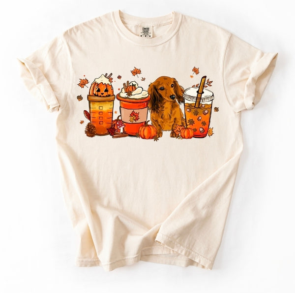 Pumpkin Spice Dachshund shirt / sweatshirt