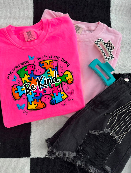 Autism Be Kind shirt / sweatshirt
