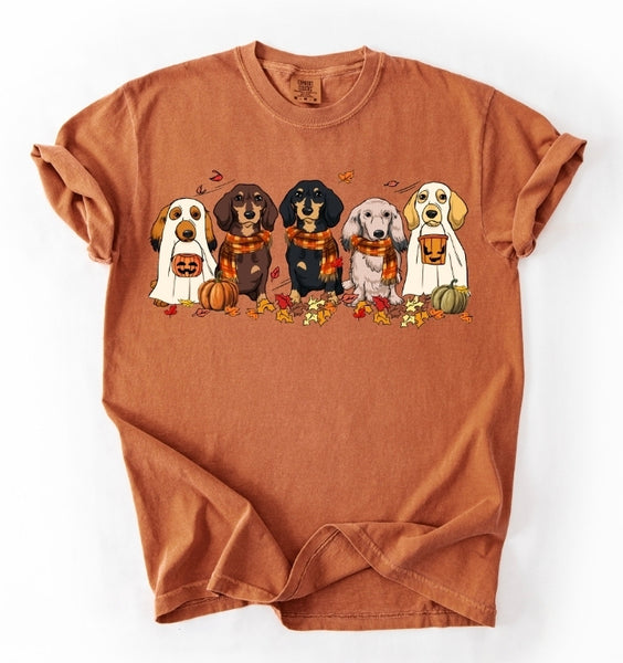 Fall Dachshund shirt / sweatshirt